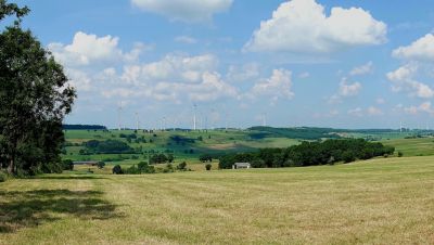 Landschaftsplan Altenbeken 